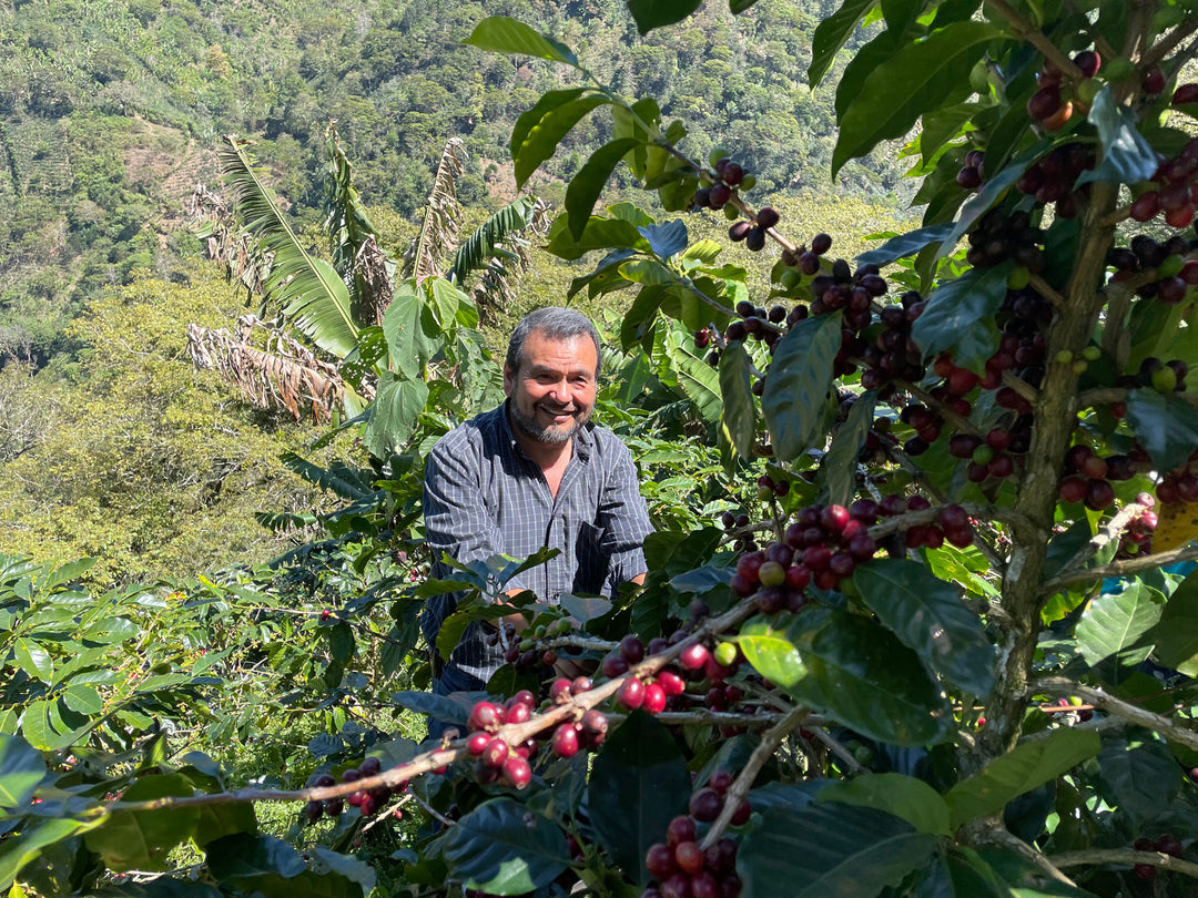 Meet Our Farmers - René Edgardo Diaz Valenzuela