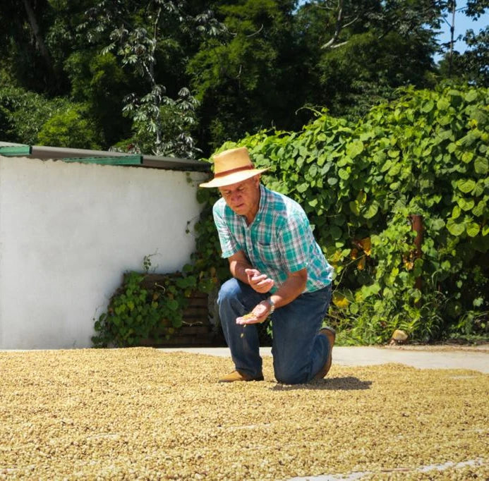 Meet Our Farmers – Finca San Francisco, Mexico