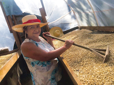 Meet Our Farmers – Finca El Trapiche, Honduras
