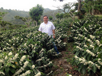 Meet Our Farmers – Fernando Chaves