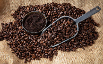 Whole Bean vs Ground Coffee: What Are The Differences?