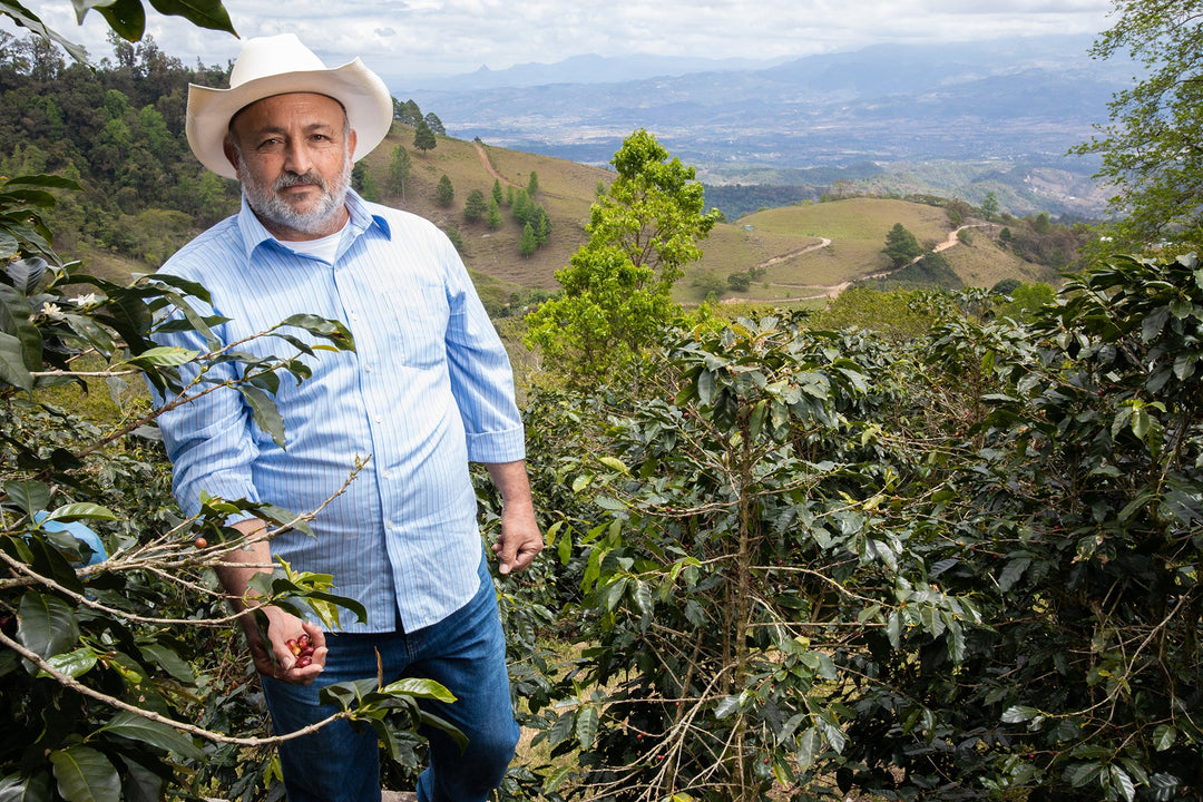Meet our Farmers - Finca San Jose, Honduras