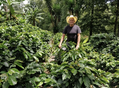 Meet Our Farmers – Pedro Fiallos