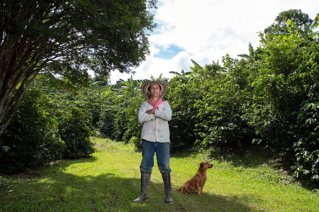 Meet our Farmers - Finca La Fortuna