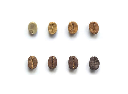 How to Choose Coffee Beans Based on Flavor, Not Just Roast Name