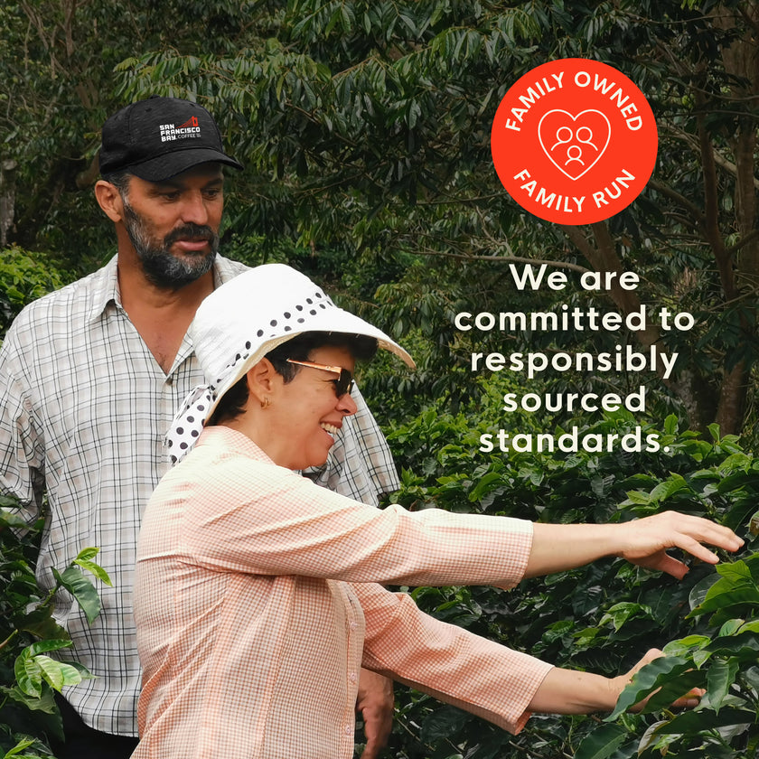 Organic Rainforest Blend OneCUP™ Coffee Pods