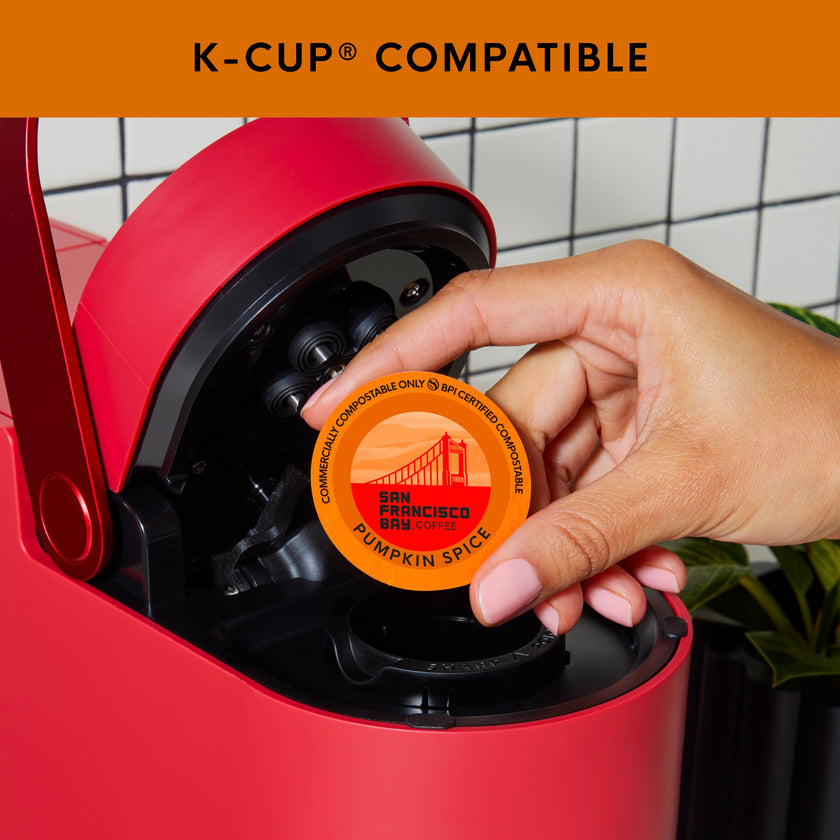 Pumpkin Spice OneCUP™ Coffee Pods