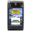 Organic Sumatra Mandheling, 2 lb. Bag - Whole Bean