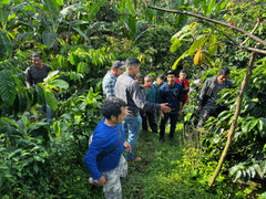 people in the jungle