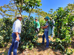 men standing around a tree