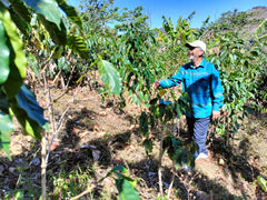 man planting plants